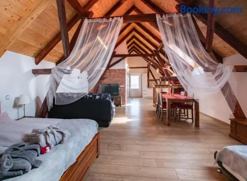 Penzion Na barokní cestě Wellness & Spa - Image 1