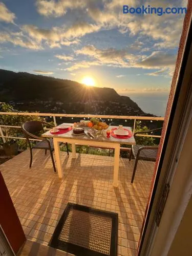 Tropical House - Image 1