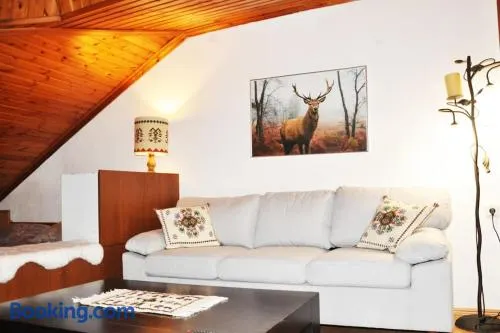 Cozy Loft with Fireplace & View - Image 1