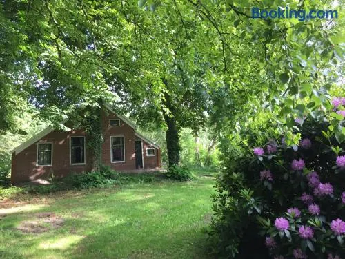 Veenhoes - Image 1