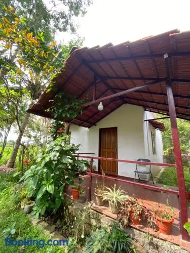 Coorg jungle Cottage - Image 1