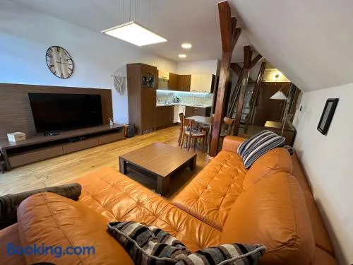 APARTMÁN MEZONET DONOVALY Plesnivec - Image 1