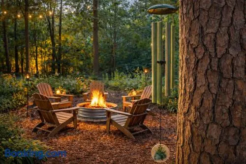 Jackson’s Urban Cabin Escape - Image 1
