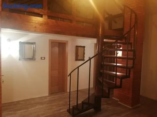 Apartman Daša - Image 1