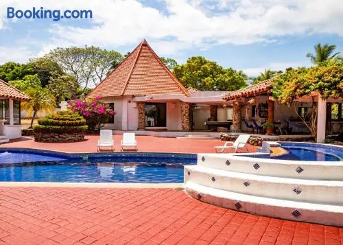 Mia Nueva Gorgona - Image 1