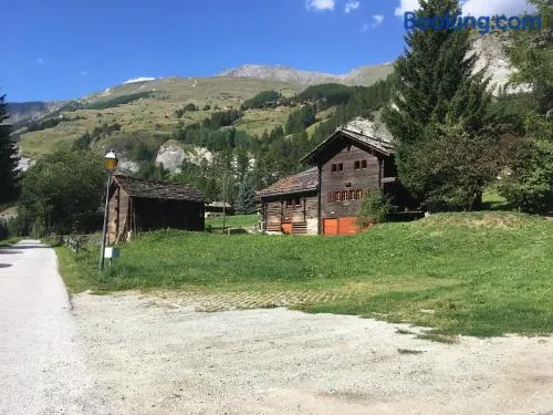 Cocon - Image 1