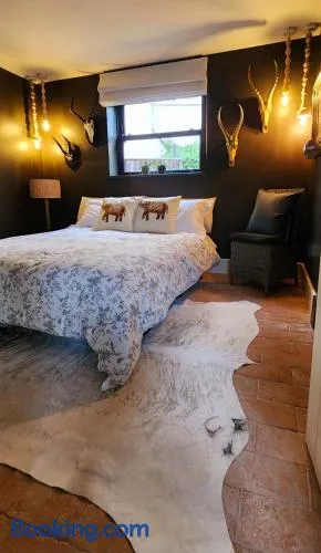 Casa Rosa Cheltenham - luxury unit, free parking - 5 star - Image 1