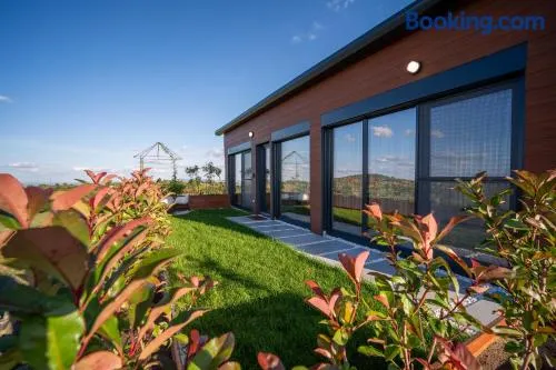 Casa Deluxe in Sinteu - intersectia intre modern si linistea naturii - Image 1
