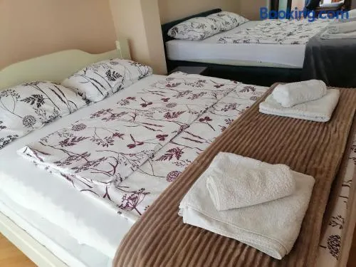 Apartman Solomonovic - Image 1