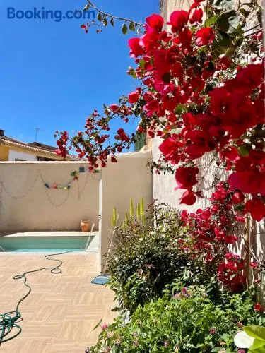 La Casa De Los Gatetes - Image 1