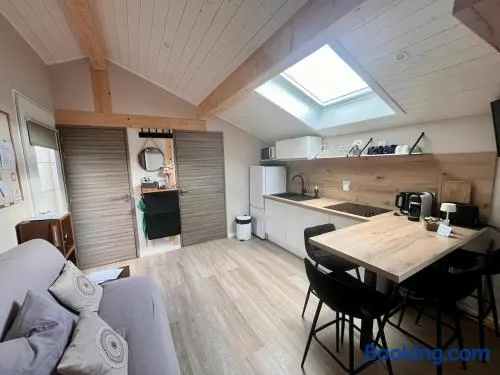 Logement cosy dans villa direct plage Publier Lac Leman - Image 1