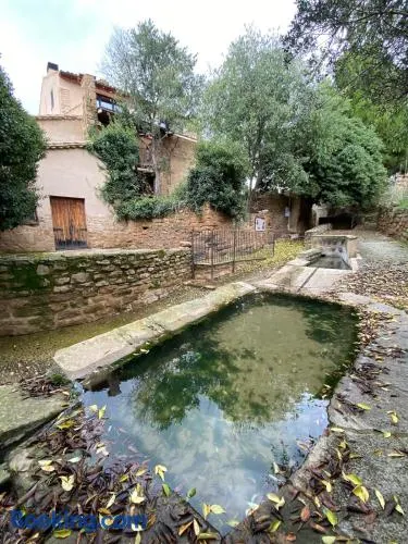 La falsa de Palacio - Image 1