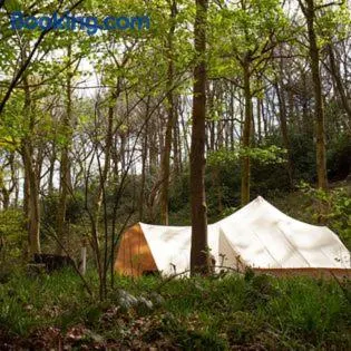 Secret Wood Glamping - Image 1