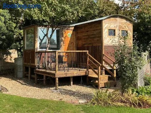 The Cosy Nest Hut - Image 1