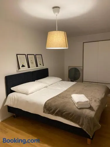 3 BR Duplex in Wiedikon - Image 1