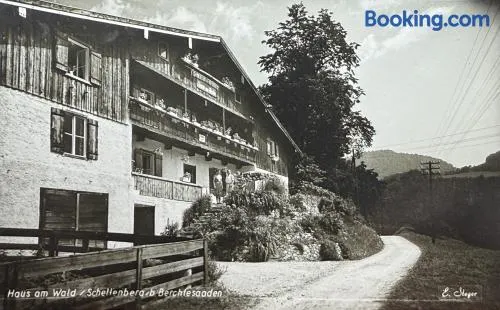 Haus am Wald FeWo 2 - Image 1