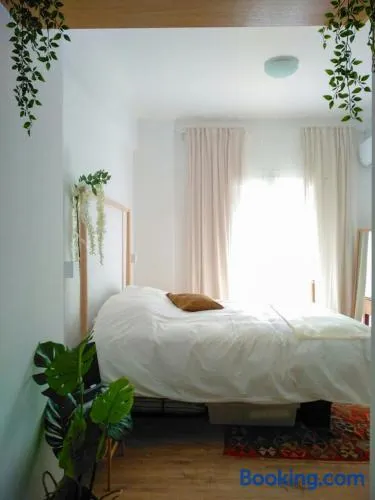 White Tundra Studio - Image 1