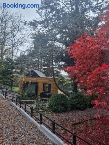 Ty Branwen- Luxury Woodland Lodge with Stunning Views - Image 1