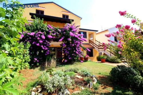 Apartments Tancel - Image 1