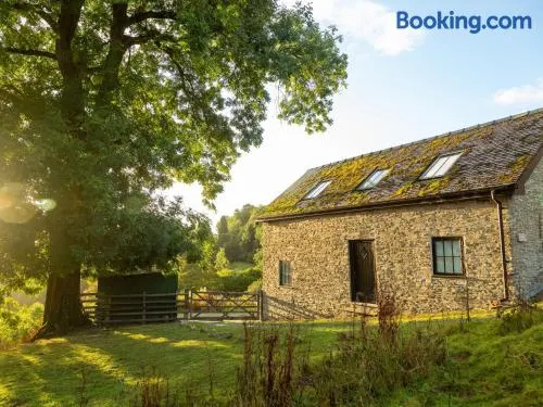 Bishop's Castle Barn - Image 1
