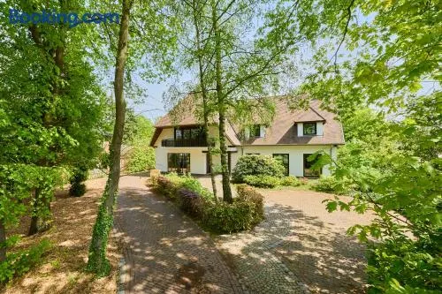 Villa Bosrijk - Image 1