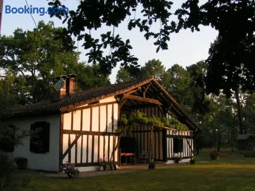 Authentique maison landaise - Image 1