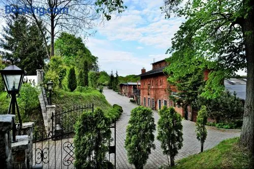 Korona - Image 1