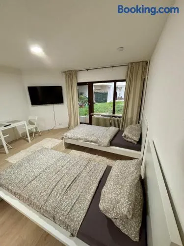Charmantes Einzimmer Apartment in Kehl - Image 1