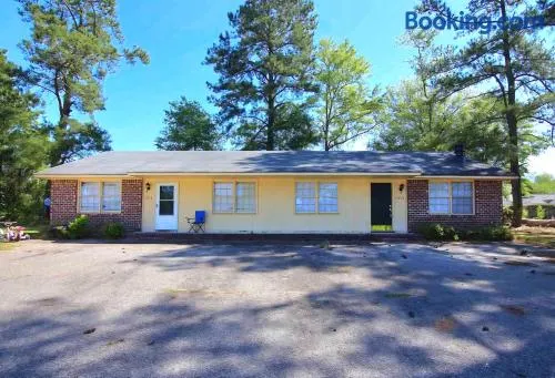 Central Orangeburg Apartment - Image 1