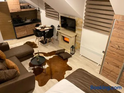 Studio Apartment Station Kopaonik,Milmari Resort - Image 1