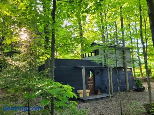 Black Pine Tree House - Image 1