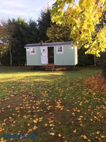 Jasmine The Shepherd Hut - Image 1