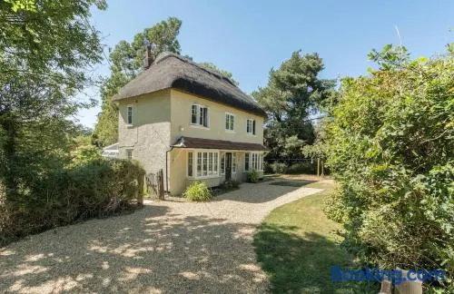 Wonderful thatched cottage in the New Forest National Park - Image 1