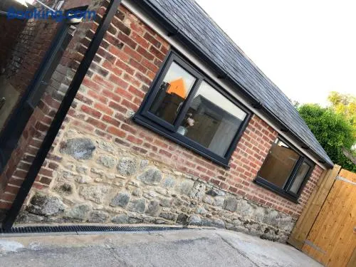 Exclusive Modern decorated 1 Bedroom Detached Studio - Image 1