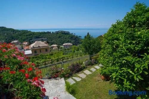 Le Clementine B&B - Image 1