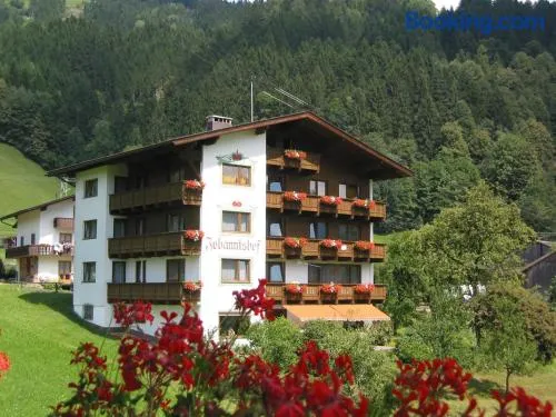 Johannishof - Image 1