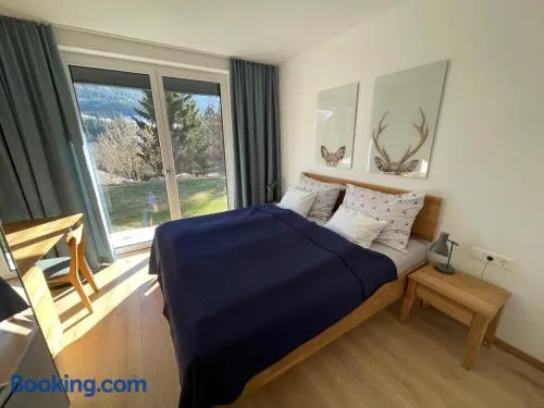 Privatwohnung am Prielerweg in Hinterstoder - Image 1