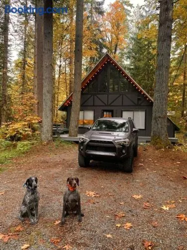Luxury A-Frame with New Hot Tub, Cozy Fireplace & Backyard Firepit - Image 1