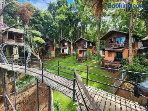 บ้านต้นไม้แม่กำปอง Baan TONMAI MAEKAMPONG - Image 1