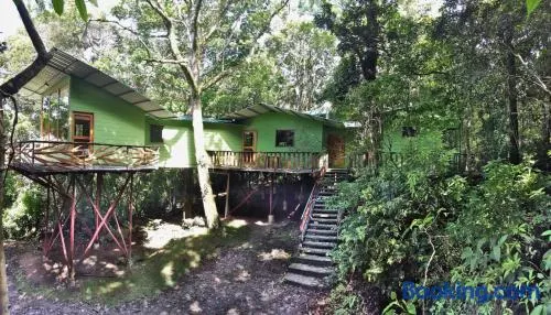 Canopy Wonders Vacation Home - Image 1