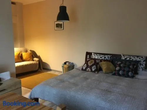 Gaujas apartaments - Image 1