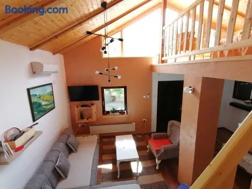 Vila Mila Fruška Gora - Image 1