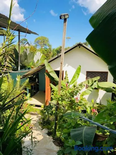 Casita Tangara - Image 1