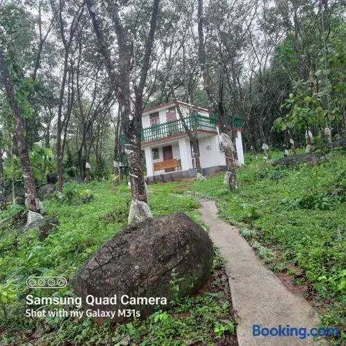 Farm stay in a coffee plantation near Athirappally - Image 1