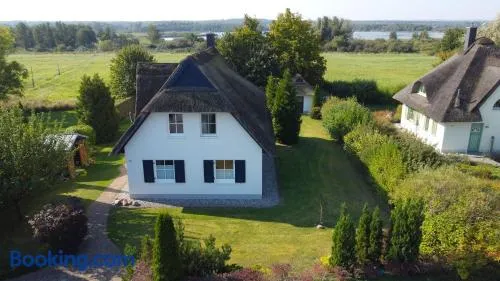 Reetdachhaus - Reet am See - Image 1