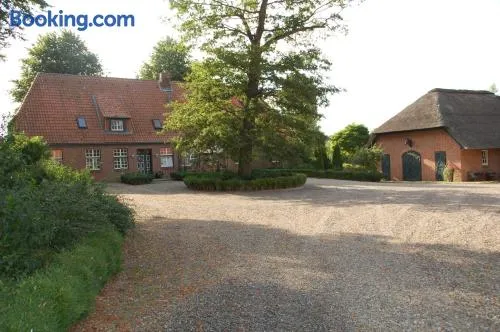 Ostseepferdehof - Image 1