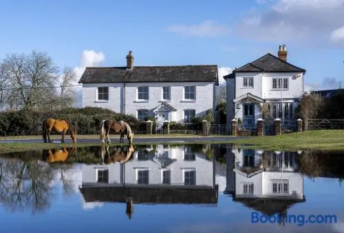 Hatchet Pond Cottage - Image 1