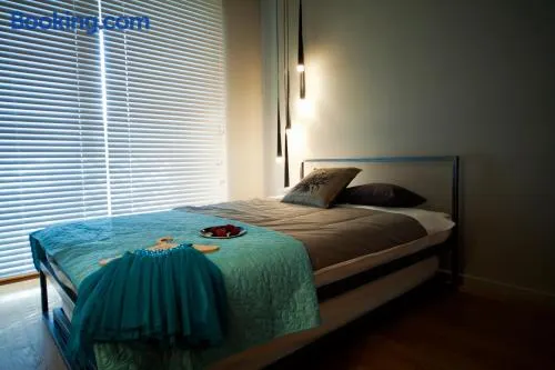 Apartament Wśród Drzew II - Image 1