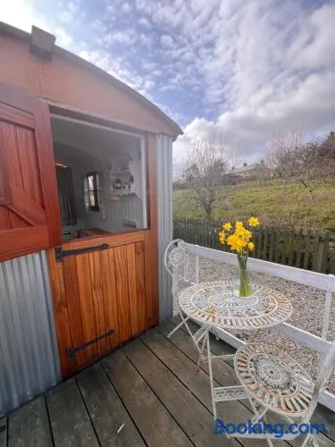 Orchard Shepherds Hut - Image 1