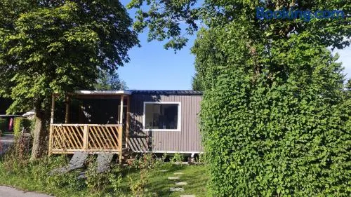 Glamping Wallersee - Unter dem Kastanienbaum - Image 1